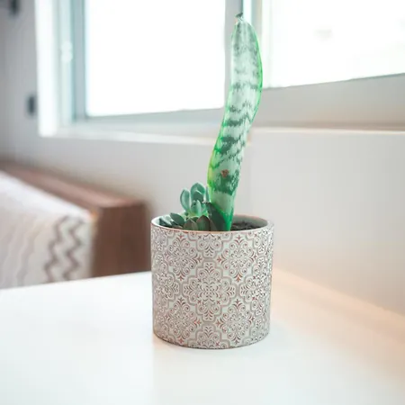 Apartmán Granny's House *