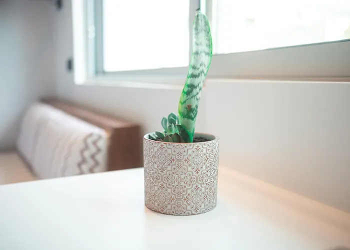 Appartement Granny's House *